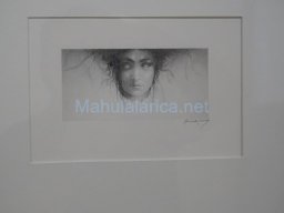 Exposición el tiempo de la Crisálida